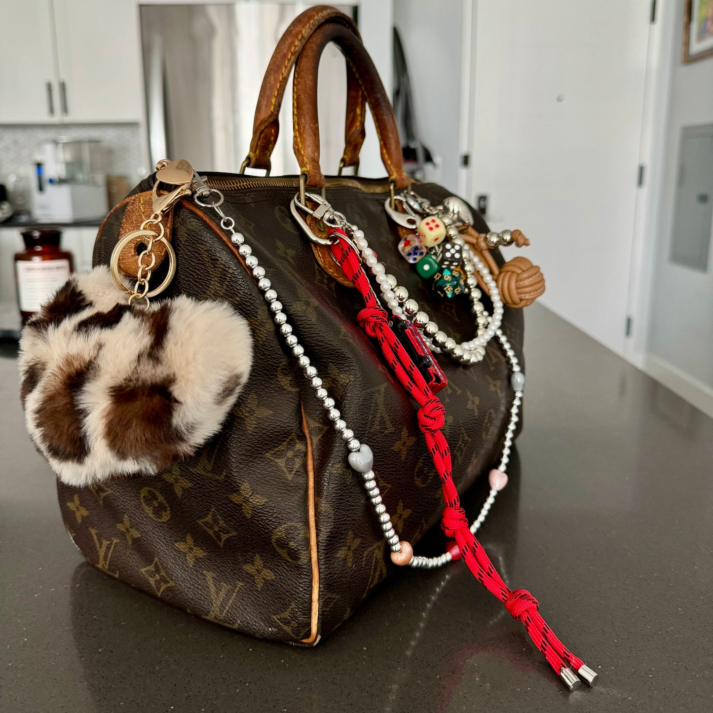 Customized Vintage Louis Vuitton Speedy 30 - Silver Bead Edition