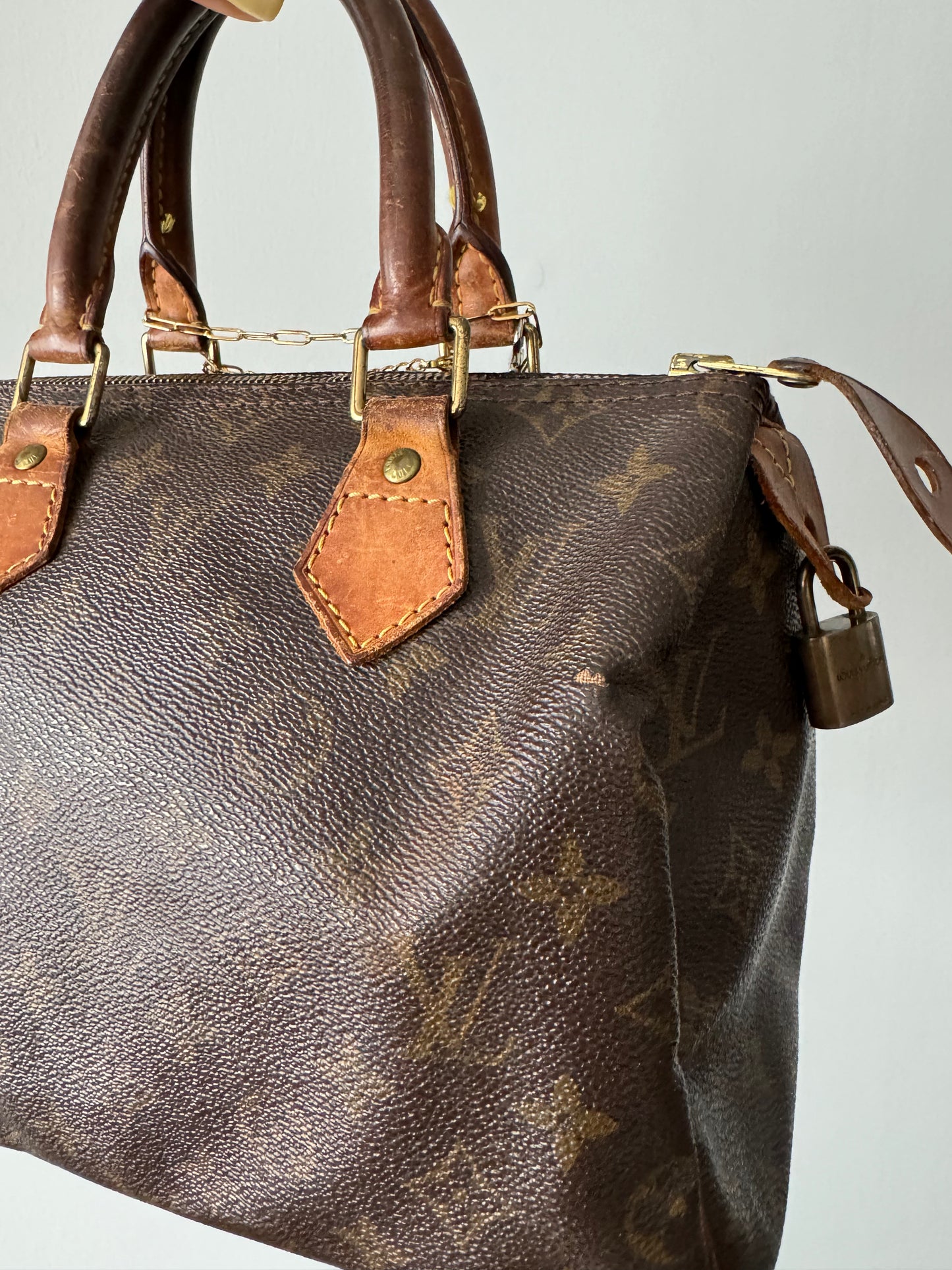 Customized Vintage Louis Vuitton Speedy 25 - Colorful Charm Edition